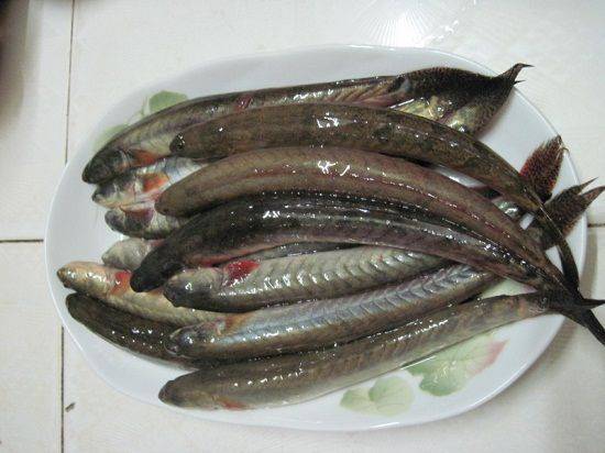 Hướng dẫn cách nấu lẩu cá kèo lá giang vừa ngon vừa đơn giản