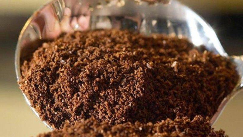 Cách pha chế cacao nóng ngon đúng điệu