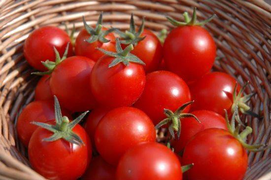 Làm sinh tố cà chua cho da sáng dáng xinh