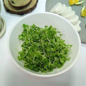Salad đậu hũ non trộn cam và rau mầm