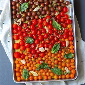 Xếp cà chua vào khay nướng, rắc muối, tỏi, húng quế, lá oregano, lá hương thảo xem kẽ với cà chua, rưới đều dầu olive