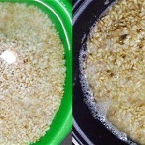 Gạo nếp xay nhặt kỹ bỏ hết hạt thóc và vỏ trấu